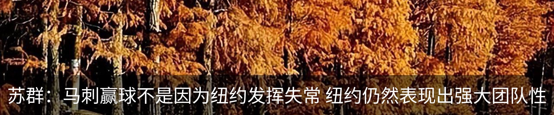 新闻中心